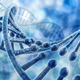 Illustration for article titled The First Lifeform Capable Of Passing Down A Juiced-Up Version Of DNA